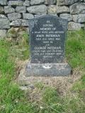 image of grave number 250793